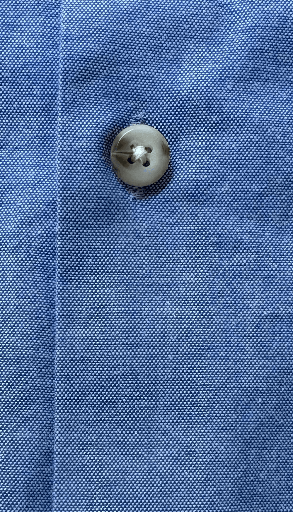 Button Down Oxford Shirt - Blue